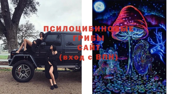 мет Балахна