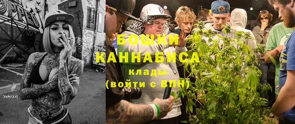 шишки Балабаново