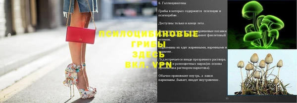 шишки Балабаново
